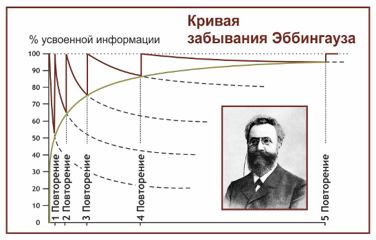 Герман Эббингауз считается первым, кто описал кривые обучения в своей книге 1885 года «Память: вклад в экспериментальную психологию». 